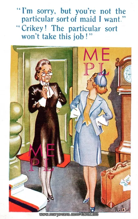  : Comic postcard, not the particular sort of maid