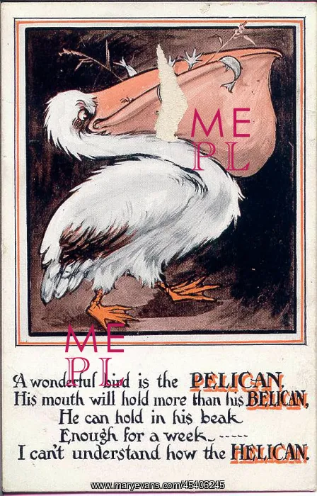 : Comic postcard, The Pelican : Comic postcard, The Pelican