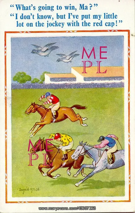 : Comic postcard, Pigeons flying above racehorses : Comic postcard, Pigeons flying above racehorses