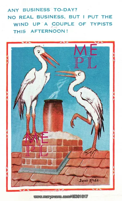: Comic postcard, two storks on a roof : Comic postcard, two storks on a roof