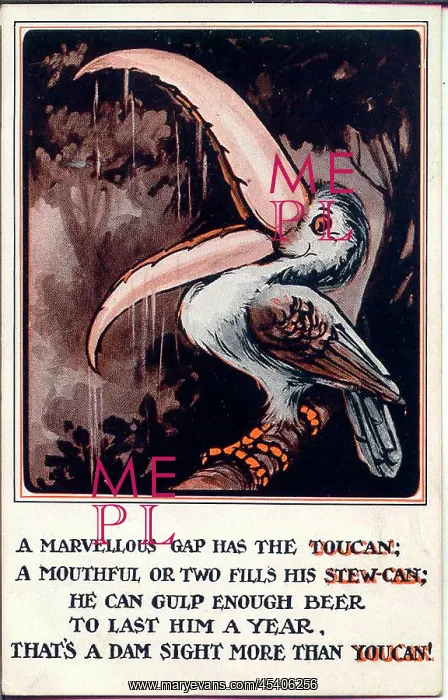 : Comic postcard, The Toucan : Comic postcard, The Toucan