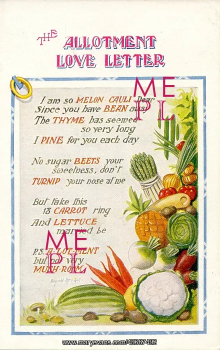: Comic postcard, Vegetable love, The Allotment Love Letter : Comic postcard, Vegetable love, The Allotment Love Letter
