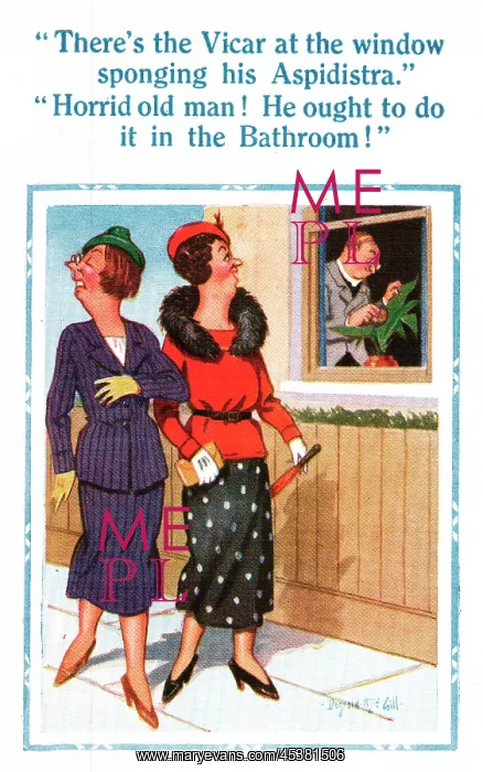 : Comic postcard, the vicar sponges his aspidistra : Comic postcard, the vicar sponges his aspidistra