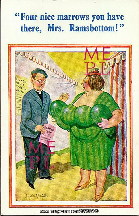 : Comic postcard, Vicar and woman at country show : Comic postcard, Vicar and woman at country show