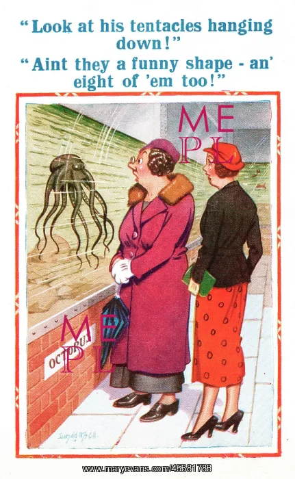 : Comic postcard, two women discuss an octopus : Comic postcard, two women discuss an octopus