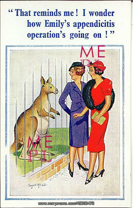 : Comic postcard, Two women at the zoo see kangaroo : Comic postcard, Two women at the zoo see kangaroo