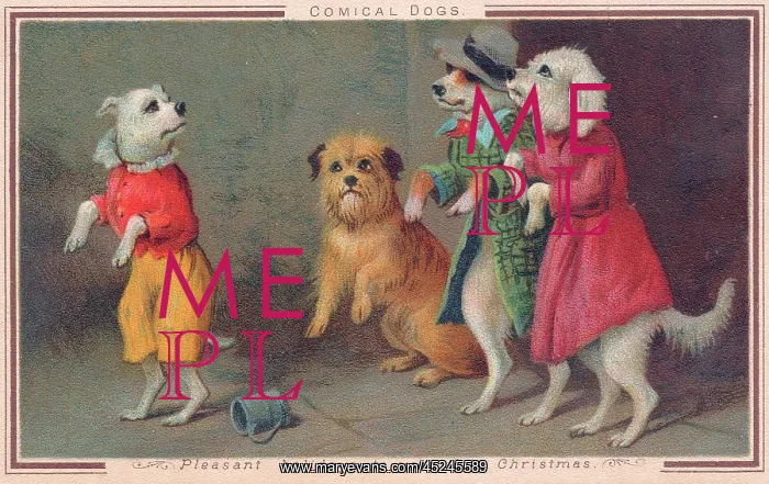 : Four comical dogs on a Christmas card : Four comical dogs on a Christmas card