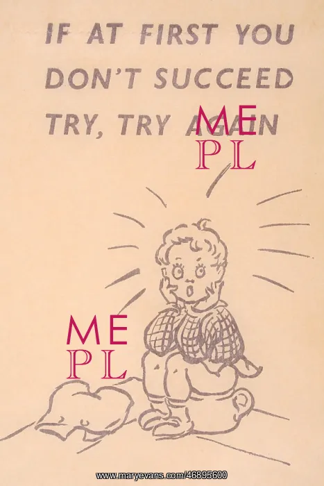 : Comical toilet paper, If at first you don't : Comical toilet paper, If at first you don't