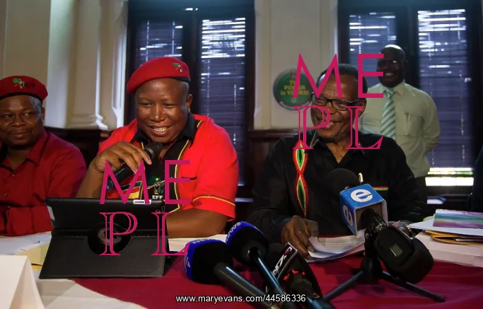 : Commander in chief of the Economic Freedom Fighters : Commander in chief of the Economic Freedom Fighters