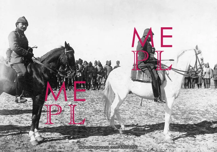 : Commander in Chief of Turkish-Egyptian army, WW1 : Commander in Chief of Turkish-Egyptian army, WW1