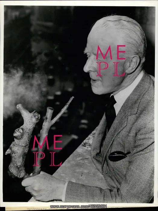 : Commander Humphrey Gilbert with historic pipe : Commander Humphrey Gilbert with historic pipe