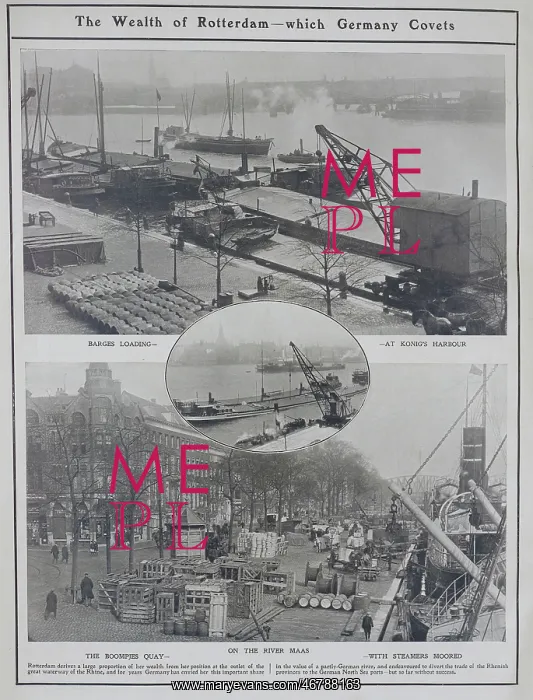 : Commercial Shipping Activity, Rotterdam : Commercial Shipping Activity, Rotterdam