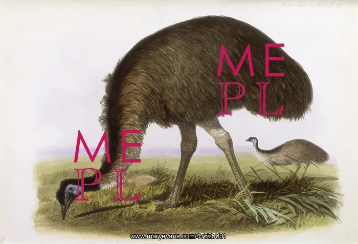 : COMMON EMU : COMMON EMU