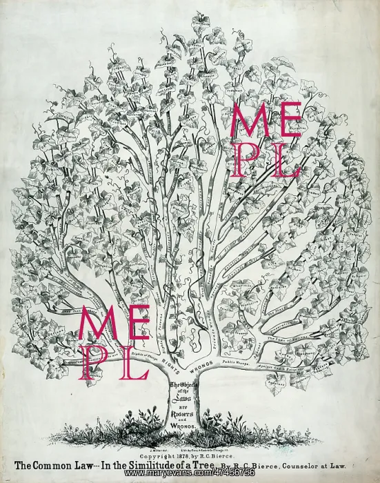 : The common law in the similitude of a tree : The common law in the similitude of a tree