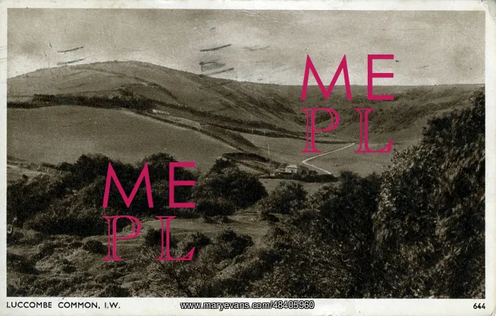 : The Common, Luccombe, Somerset : The Common, Luccombe, Somerset