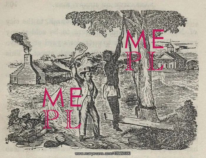: The most common slave punishments were the ? : The most common slave punishments were the ?
