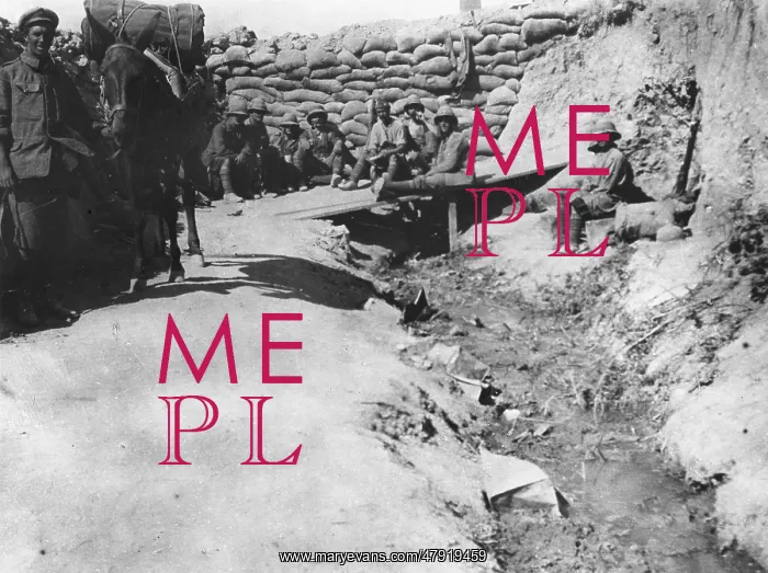 : Communications trench at Gallipoli WWI : Communications trench at Gallipoli WWI