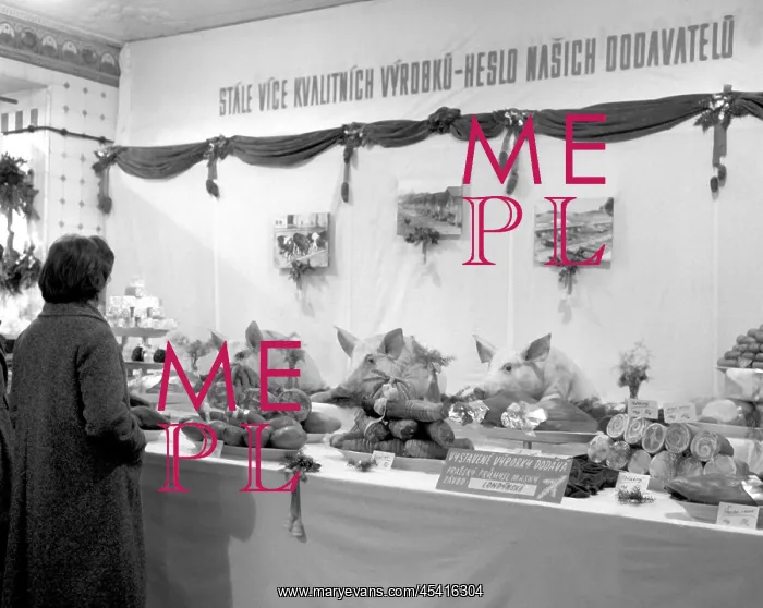 : Communist propaganda - pig heads : Communist propaganda - pig heads