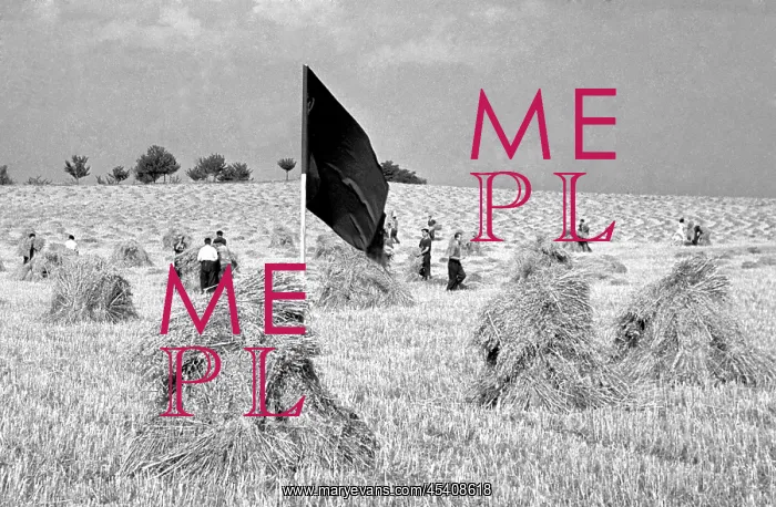 : Communist regime - red flag : Communist regime - red flag