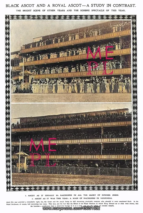 : Comparison of Ascot : Comparison of Ascot