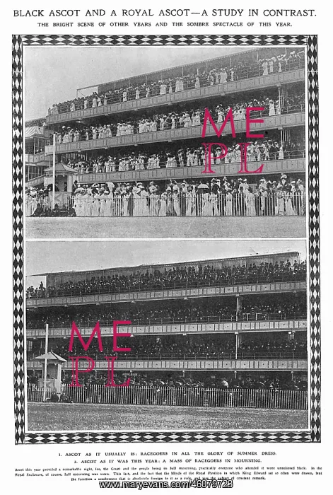 : Comparison of Ascot : Comparison of Ascot