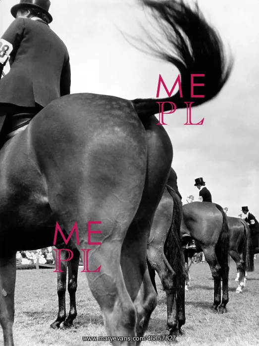 : Competitors at the Windsor Horse Show : Competitors at the Windsor Horse Show