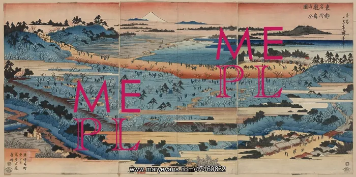 : A complete view of Asukayama : A complete view of Asukayama