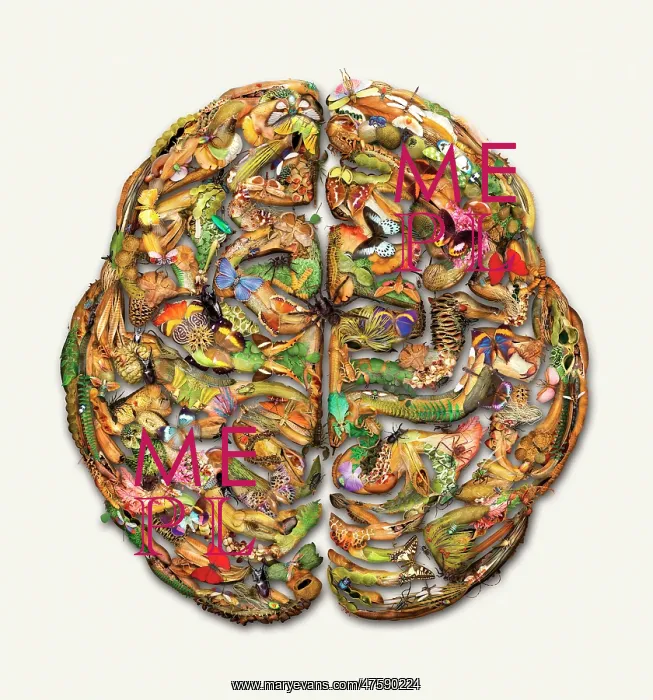 : Composite brain picture : Composite brain picture