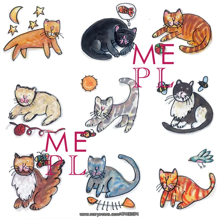: Composite of nine cats : Composite of nine cats