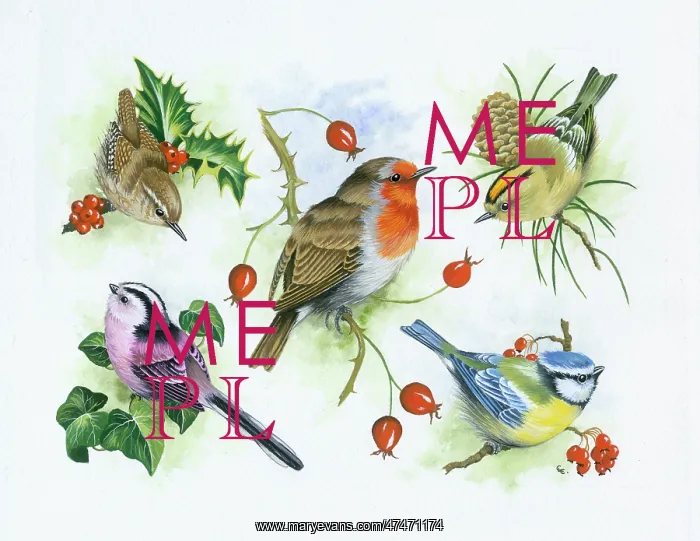 : Composite design of 5 birds : Composite design of 5 birds