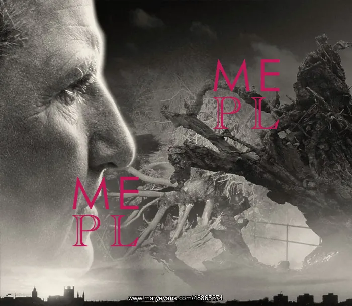 : Composite image of Gertrude Stein and uprooted trees : Composite image of Gertrude Stein and uprooted trees