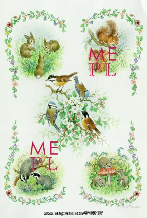 : Composite picture of rabbits, squirrels, birds, badgers, mic : Composite picture of rabbits, squirrels, birds, badgers, mic