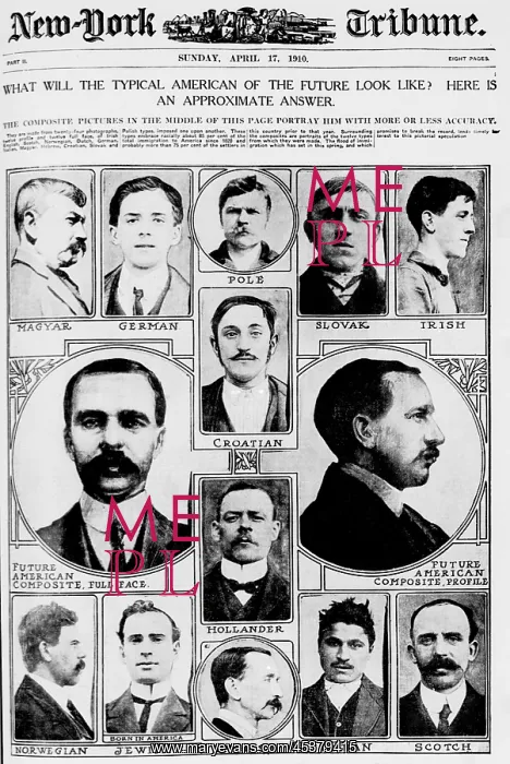  : Composite pictures in the middle of this page