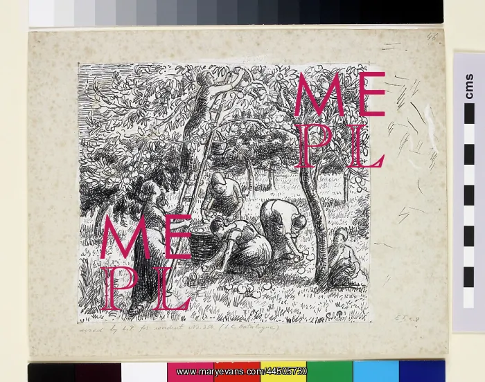 : Compositional study of female peasants harvesting apples : Compositional study of female peasants harvesting apples