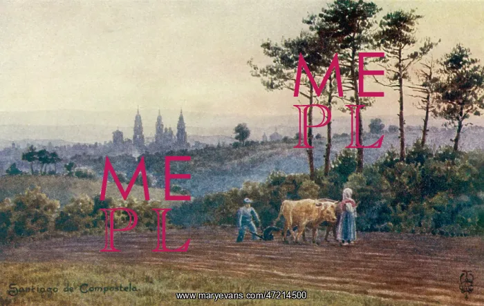 : COMPOSTELLA PILGRIMS : COMPOSTELLA PILGRIMS