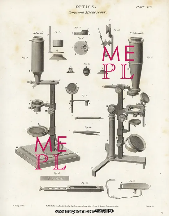: Compound microscope mechanisms and parts : Compound microscope mechanisms and parts