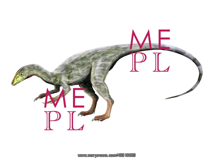 : Compsognathus dinosaur : Compsognathus dinosaur