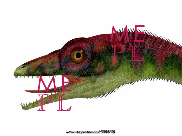 : Compsognathus dinosaur portrait : Compsognathus dinosaur portrait