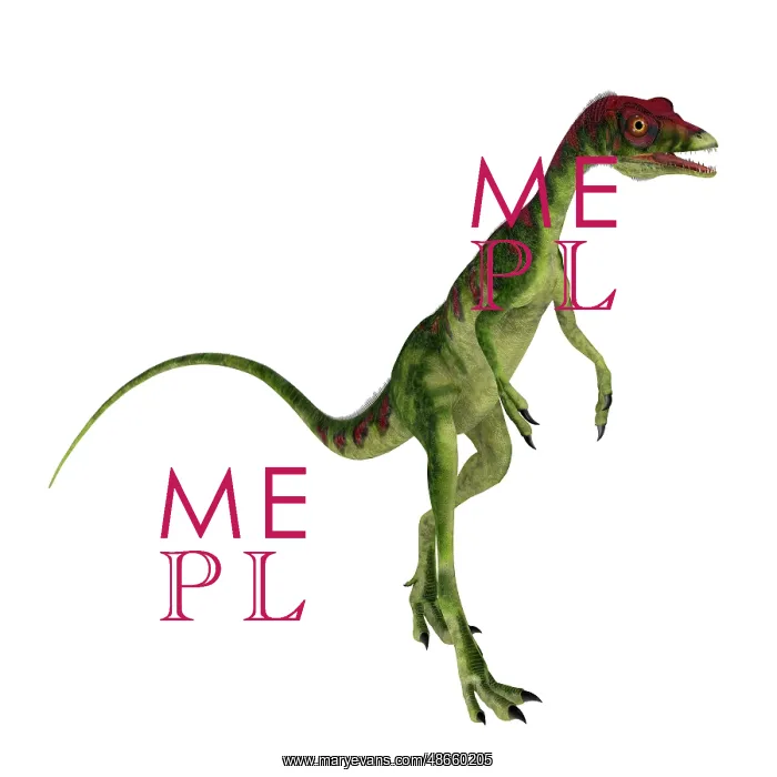 : Compsognathus dinosaur walking upright : Compsognathus dinosaur walking upright