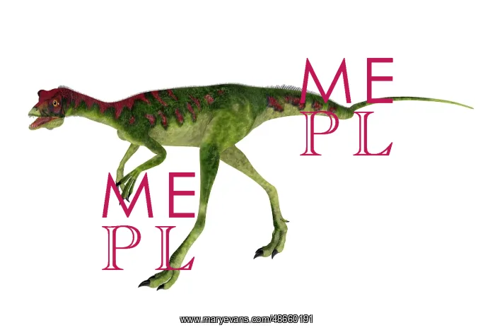 : Compsognathus dinosaur walking, side view on white : Compsognathus dinosaur walking, side view on white