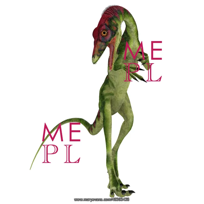 : Compsognathus dinosaur on white background : Compsognathus dinosaur on white background
