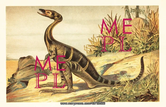 : Compsognathus longipes, extinct small, carnivorous theropod : Compsognathus longipes, extinct small, carnivorous theropod
