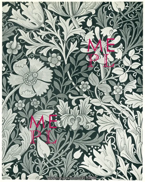 : Compton Chintz : Compton Chintz