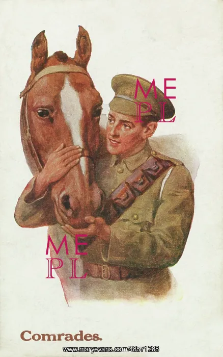 : Comrades. Postcard: Comrades.One of two postcards showing soldiers with horses, dating : Comrades. Postcard: Comrades.One of two postcards showing soldiers with horses, dating