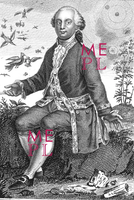 : Comte de Buffon, French Naturalist : Comte de Buffon, French Naturalist