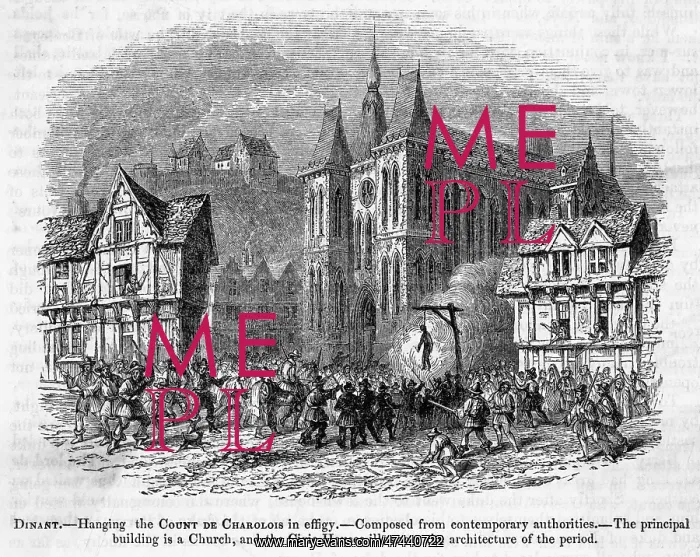 : COMTE DE CHAROLOIS : COMTE DE CHAROLOIS