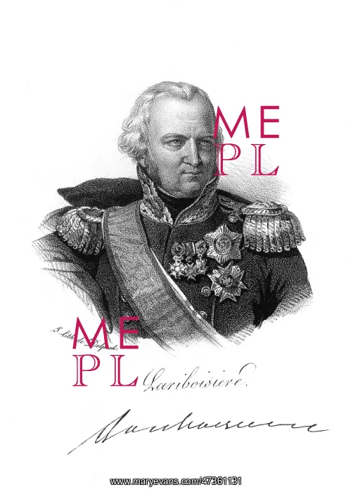 : COMTE DE LA RIBOISIERE : COMTE DE LA RIBOISIERE