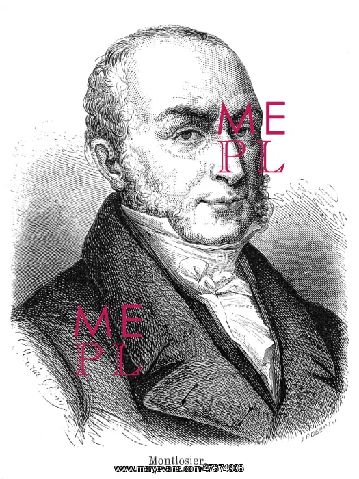 : COMTE DE MONTLOSIER : COMTE DE MONTLOSIER