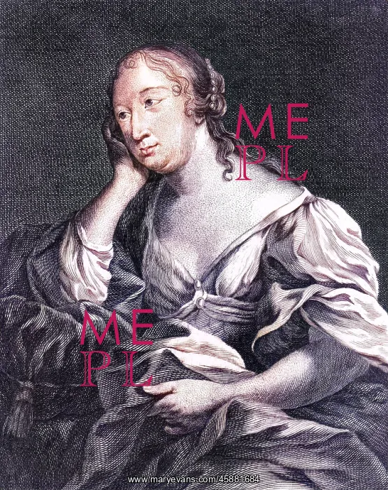 : COMTESSE DE LAFAYETTE : COMTESSE DE LAFAYETTE