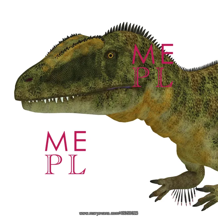 : Concavenator dinosaur head : Concavenator dinosaur head